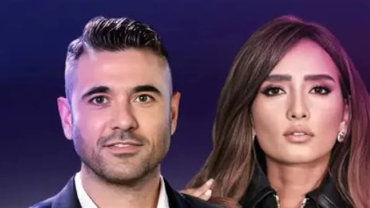 570 ألف جنيه.. تأجيل دعوى زينة ضد أحمد عز مجددًا
